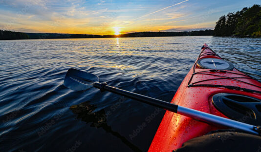 AdobeStock_281861435_Preview