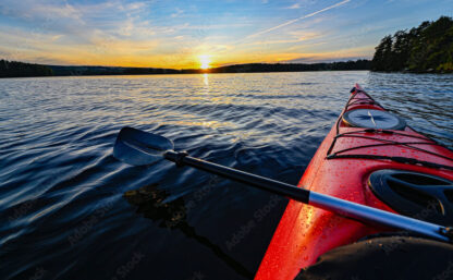 AdobeStock_281861435_Preview