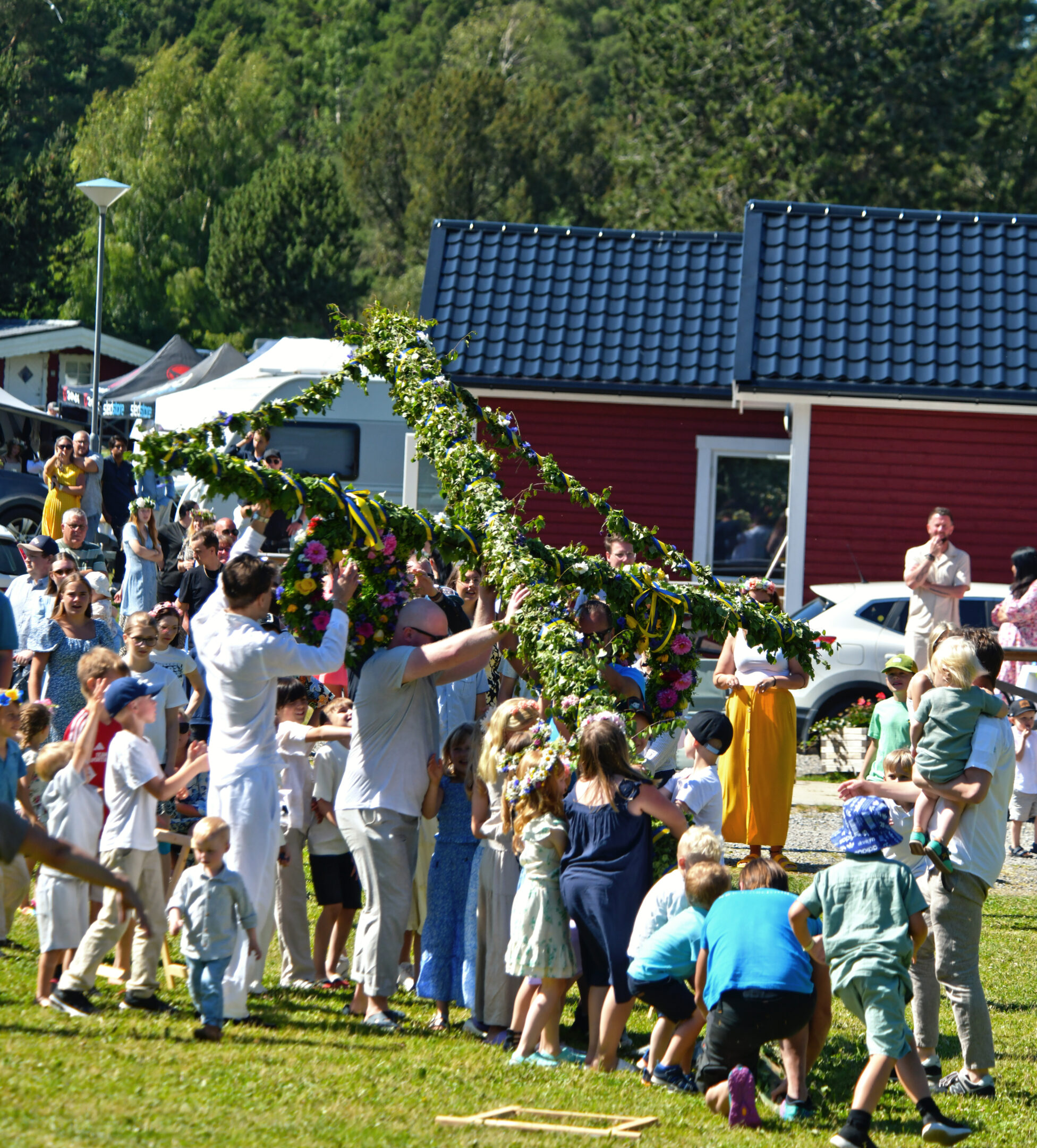 Midsommarstång som reses av människor.